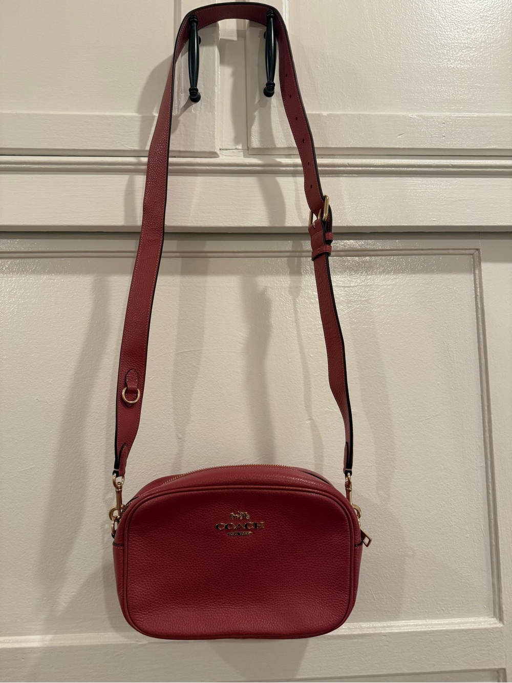 Coach Pebbled Leather Camera Bag in pink
